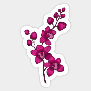 branch with purple orchid flowers Sticker